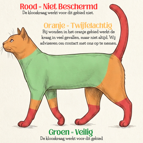 Kattenkraag – Zachte, diervriendelijke herstelkraag voor katten | De Kloos Kraag