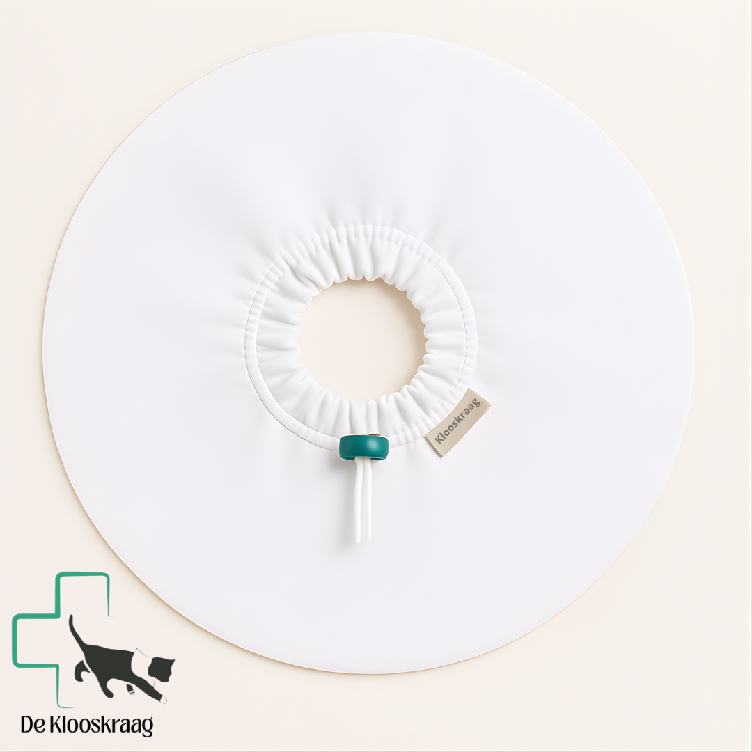 Zachte diervriendelijke kattenkraag – De Kloos Kraag
